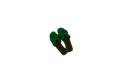 Slipper Scent Green